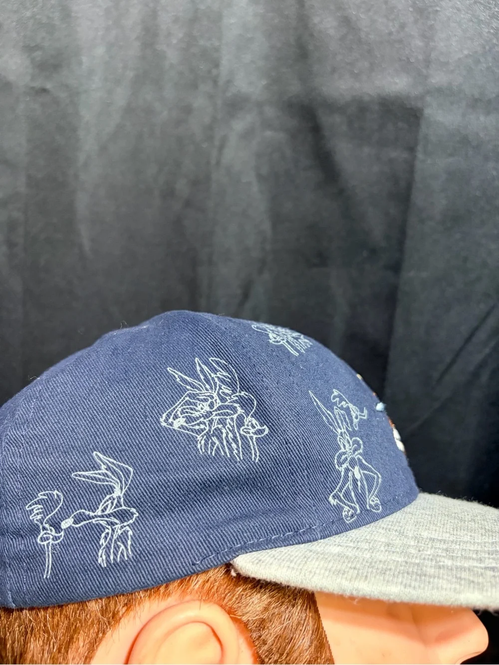 Warner Bros.Wile E. Coyote& Roadrunner Hat